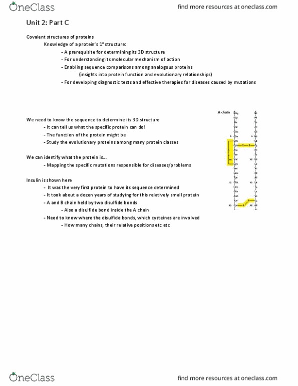 BIOC 2010 Study Guide Winter 2014, Midterm Proline, Trypsin