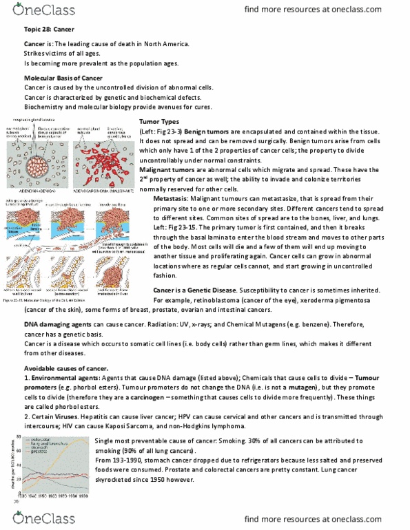 Biochemistry 2280A Lecture Notes - Lecture 28: Antibody, Multiple Drug Resistance, Telomere thumbnail