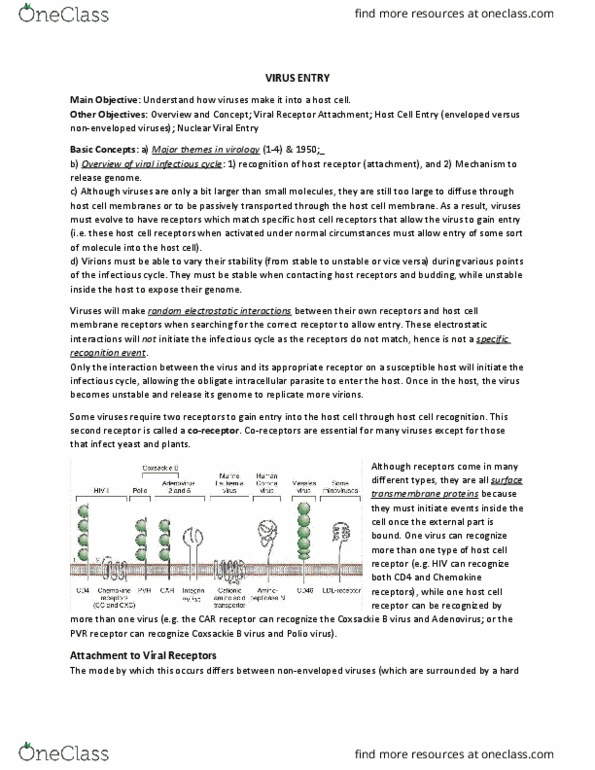Microbiology and Immunology 2500A/B Lecture Notes - Lecture 4: Herpesviridae, Npc1, Reoviridae thumbnail