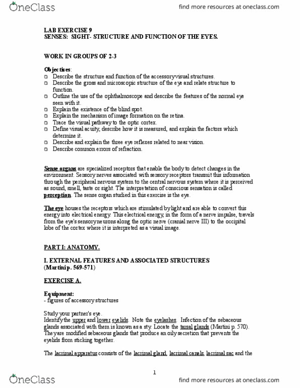 BIOL 153 Lecture Notes - Lecture 3: Optic Chiasm, Snellen Chart, Flashlight thumbnail