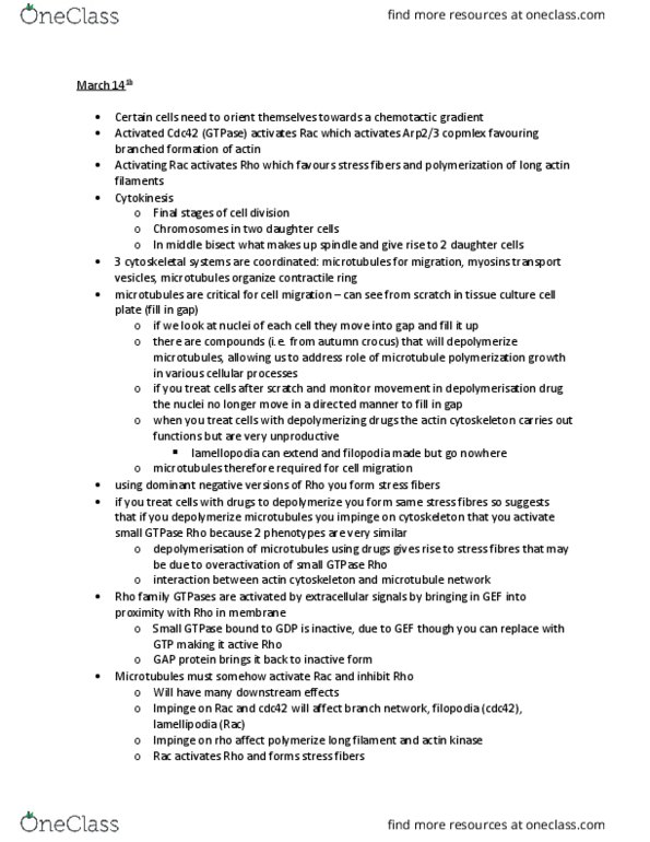 BIOL 201 Lecture Notes - Lecture 27: Dynein, Melanocyte, Dynactin thumbnail