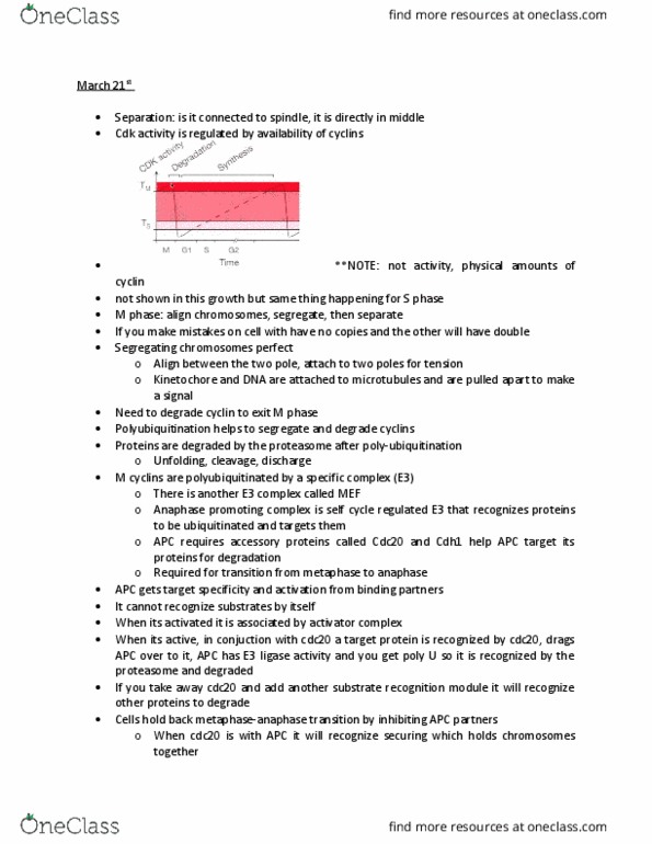 BIOL 201 Lecture Notes - Lecture 30: Mad1, Fish Hook, Securin thumbnail