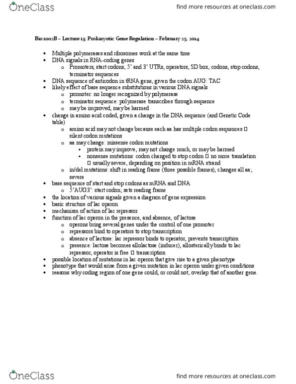 Biology 1001A Lecture Notes - Lecture 13: Allolactose, Reading Frame, Indel thumbnail