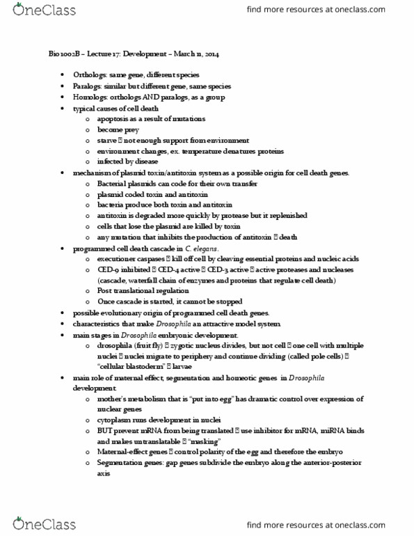 Biology 1001A Lecture Notes - Lecture 17: Blastoderm, Dna-Binding Domain, Zygote thumbnail