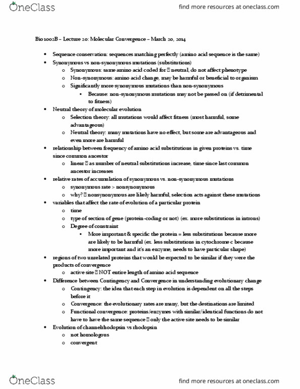 Biology 1001A Lecture Notes - Lecture 20: Digestive Enzyme, Egg White, Channelrhodopsin thumbnail