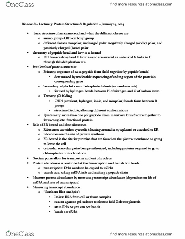 Biology 1001A Lecture Notes - Lecture 3: Post-Translational Modification, Opsin, Agarose Gel Electrophoresis thumbnail