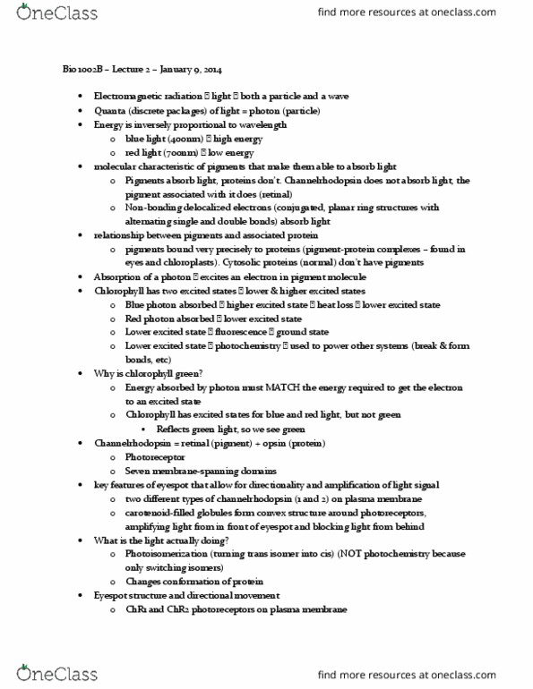 Biology 1001A Lecture Notes - Lecture 2: Visual Phototransduction, Carotenoid, Bioluminescence thumbnail