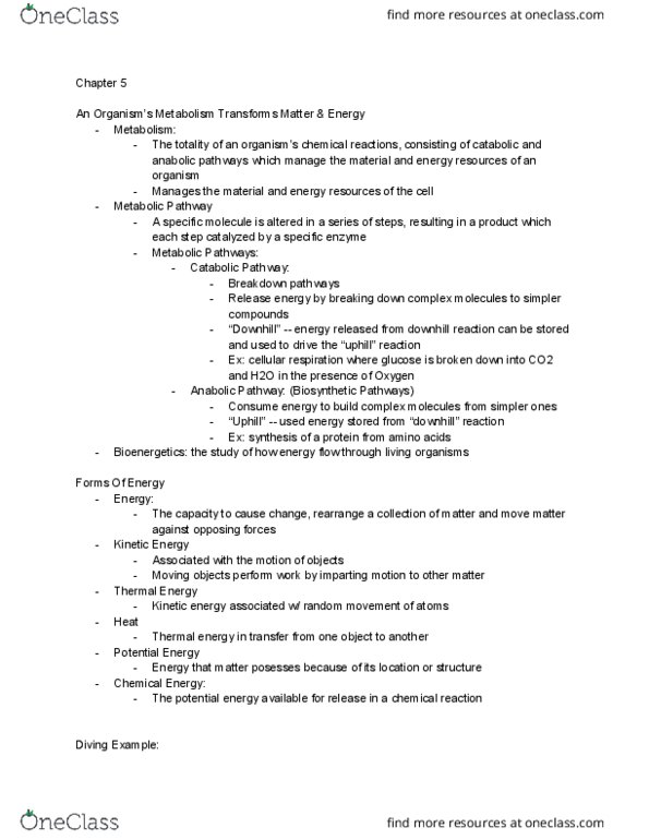 BIO 122 Lecture Notes - Lecture 5: Sucrase, Sucrose, Speed Up thumbnail