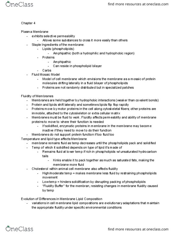 BIO 122 Lecture Notes - Lecture 4: Osmoregulation, Lysis, Phagocytosis thumbnail