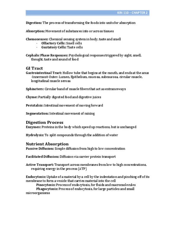 BPK 110 Chapter Notes - Chapter 3: Esophagus, Emulsion, Membrane Transport Protein thumbnail