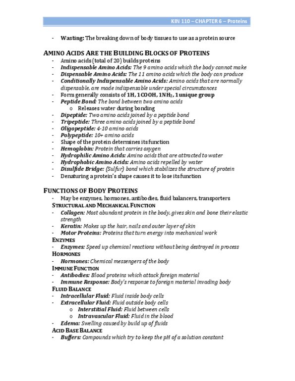 BPK 110 Chapter Notes - Chapter 6: Acidosis, Zymogen, Chymotrypsinogen thumbnail