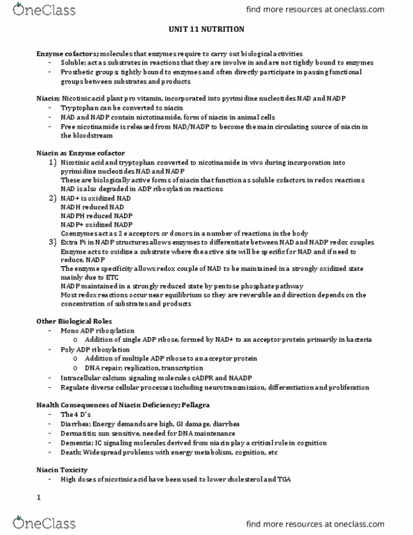 NUTR 3210 Lecture Notes - Lecture 11: Citric Acid Cycle, Acetyl-Coa Carboxylase, Vitamin B6 thumbnail