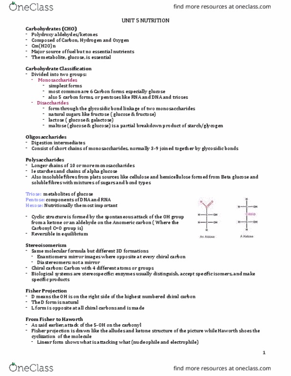 NUTR 3210 Lecture Notes - Lecture 5: Ketone Bodies, Ketosis, Glycocalyx thumbnail