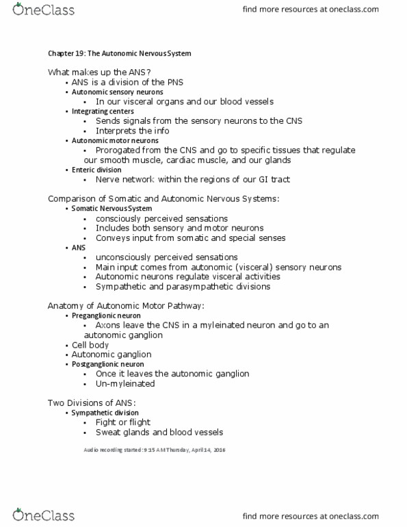 KIN 2500 Lecture Notes - Lecture 35: Homeostasis, Aorta, Adipose Tissue thumbnail