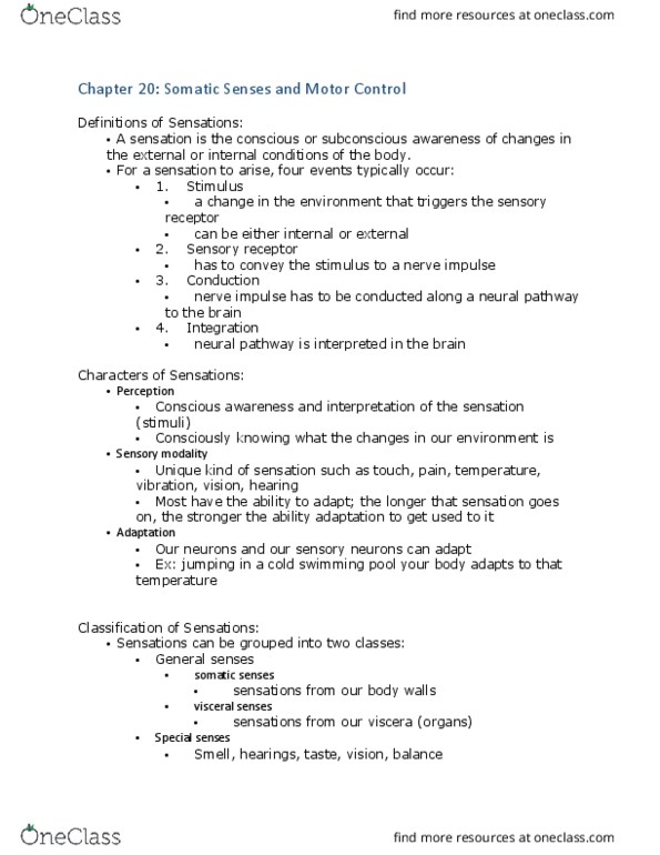 KIN 2500 Lecture Notes - Lecture 34: Pyramidal Tracts, Basal Ganglia, Syphilis thumbnail