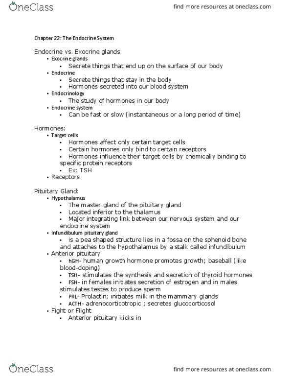 KIN 2500 Lecture Notes - Lecture 33: Tachycardia, Asthma, Aldosterone thumbnail