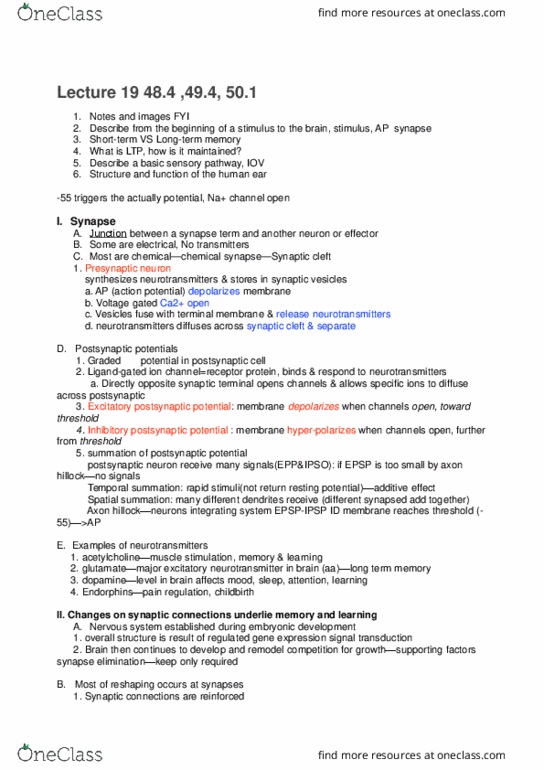 01:119:116 Lecture Notes - Lecture 19: To-3, Chemoreceptor, Ossicles thumbnail