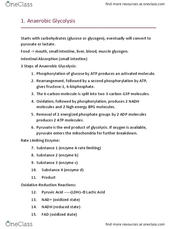 KH 3650 Lecture Notes - Lecture 5: Bicarbonate, Cori Cycle, Gluconeogenesis thumbnail