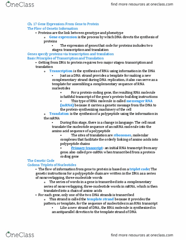 BIOLOGY 1113 Chapter Notes - Chapter 17: Missense Mutation, Ribosomal Rna, Aminoacyl-Trna thumbnail