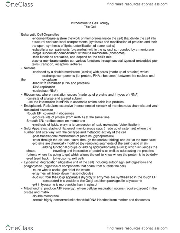 BIO 1140 Lecture Notes - Lecture 2: Secretion, Post-Translational Modification, Intermediate Filament thumbnail