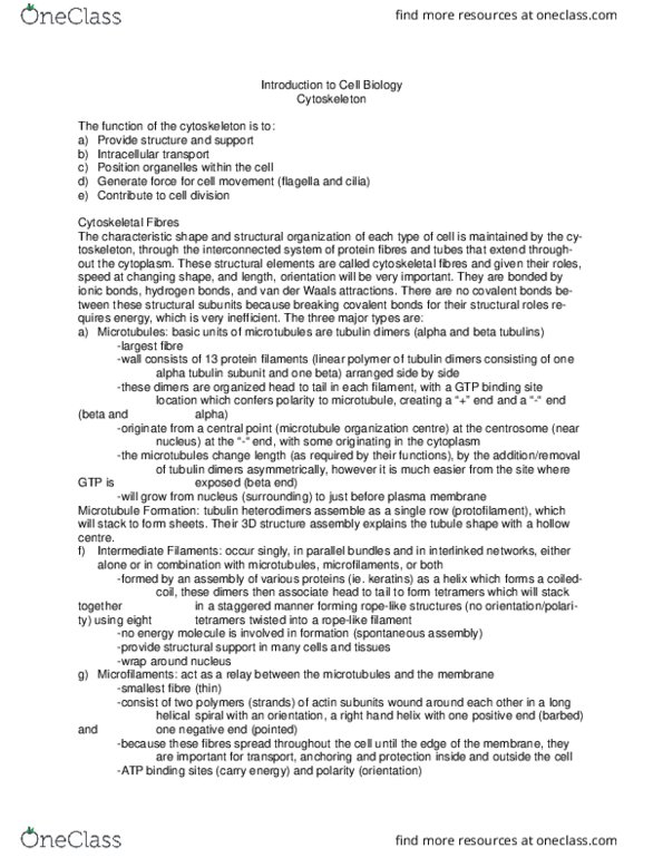 BIO 1140 Lecture Notes - Lecture 3: Coiled Coil, Tubulin, Motor Protein thumbnail