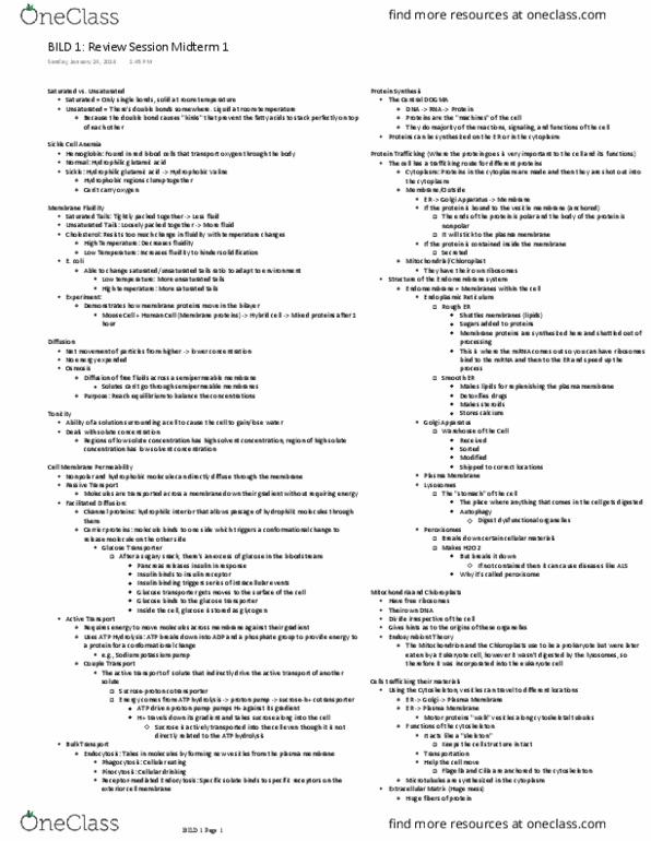 BILD 1 Lecture Notes - Lecture 13: Sickle-Cell Disease, Bild, Cell Membrane thumbnail