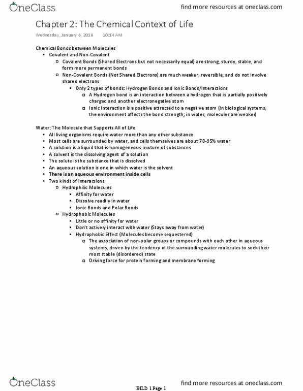 BILD 1 Lecture Notes - Lecture 3: Hydrogen Bond thumbnail