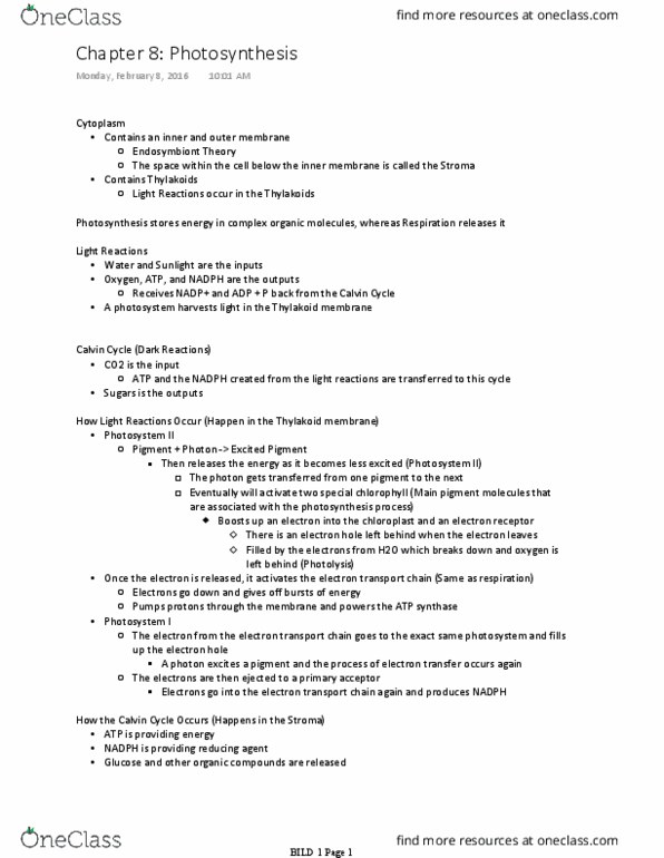 BILD 1 Lecture Notes - Lecture 19: Photosystem Ii, Light-Independent Reactions, Photosystem I thumbnail