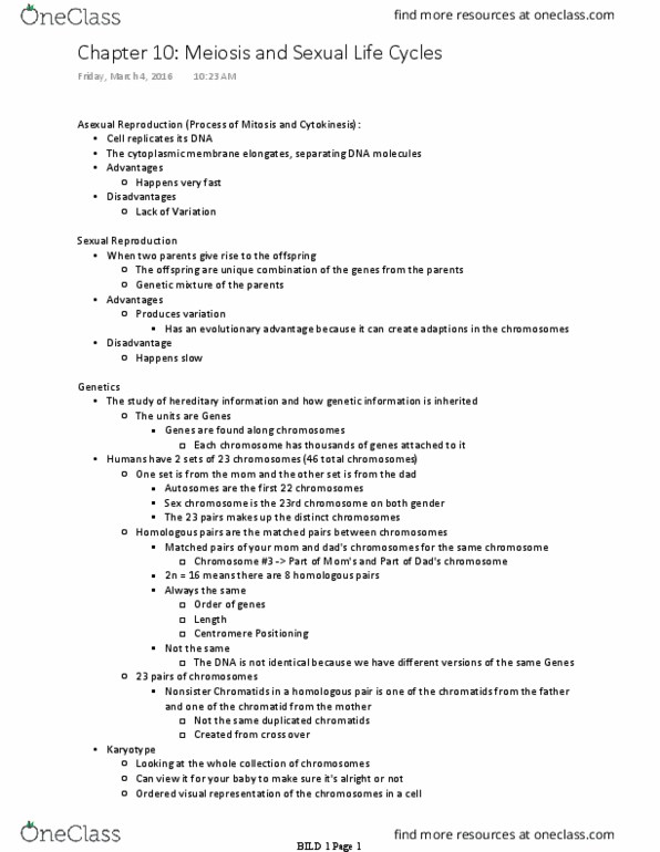 BILD 1 Lecture Notes - Lecture 29: Karyotype, Down Syndrome, Cytokinesis thumbnail