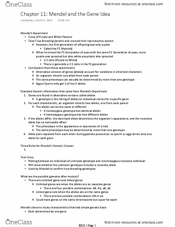 BILD 1 Lecture Notes - Lecture 30: Red Blood Cell, Allele, Phenotype thumbnail