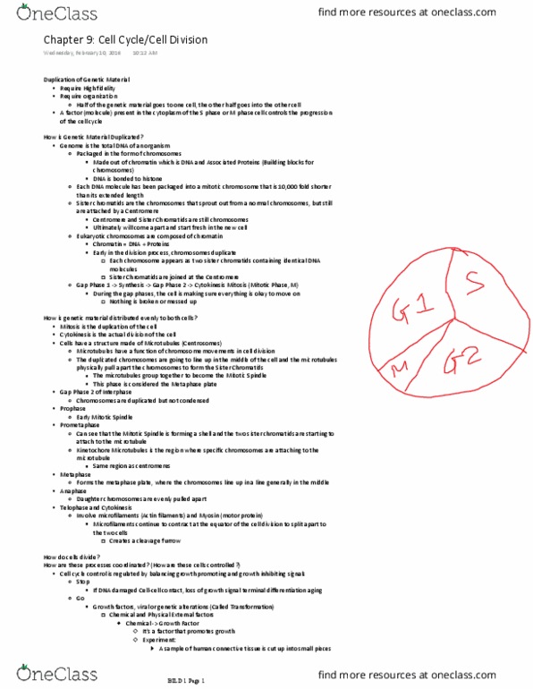 BILD 1 Lecture Notes - Lecture 21: Spindle Apparatus, Sister Chromatids, Platelet-Derived Growth Factor thumbnail