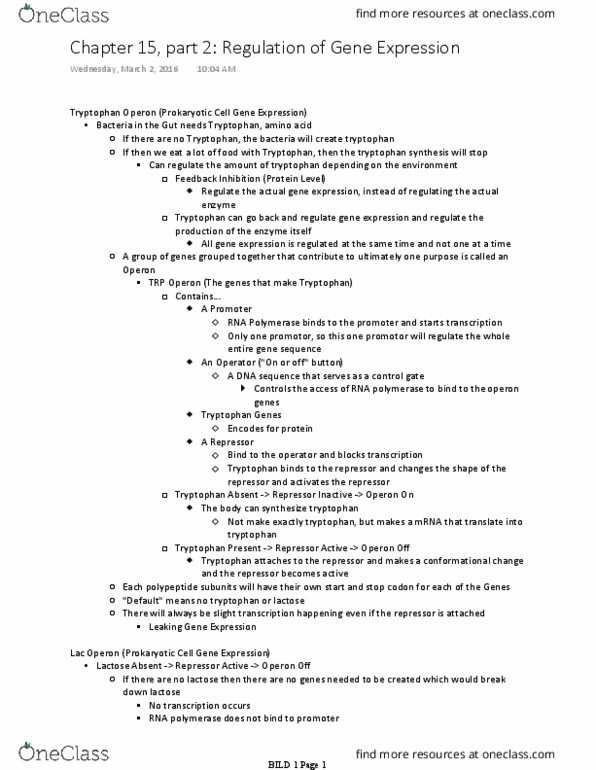 BILD 1 Lecture Notes - Lecture 27: Tryptophan, Operon, Repressor thumbnail