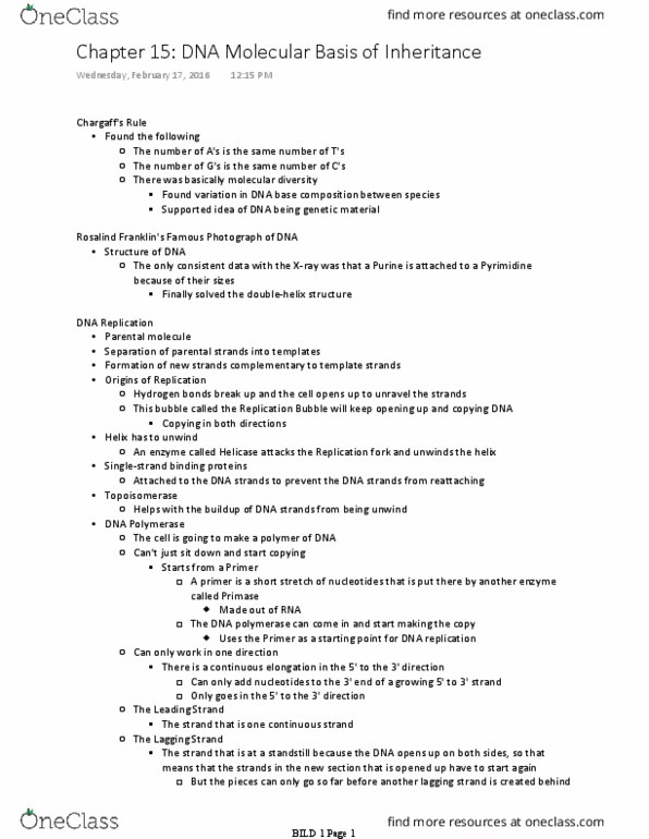 BILD 1 Lecture Notes - Lecture 23: Dna Replication, Dna Polymerase, Primase thumbnail