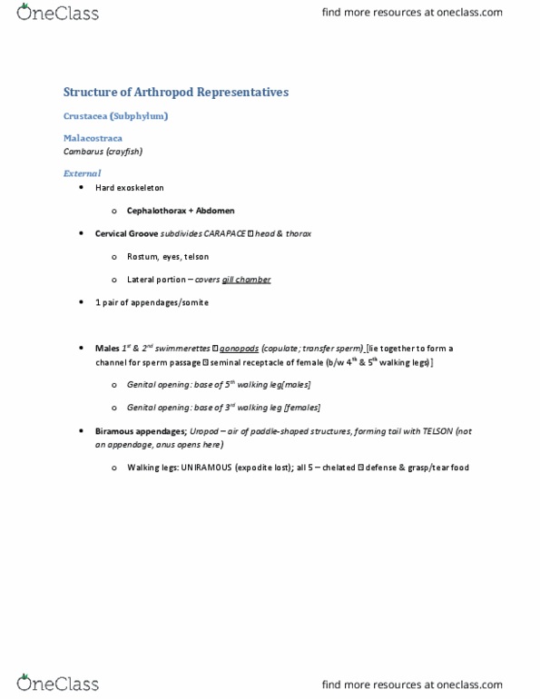 BIOL 2030 Chapter Notes - Chapter 6: Metathorax, Prothorax, Mesothorax thumbnail