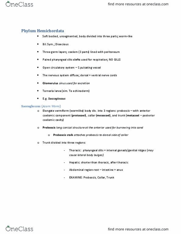 BIOL 2030 Chapter Notes - Chapter 8: Molgula, Endostyle, Ciona thumbnail