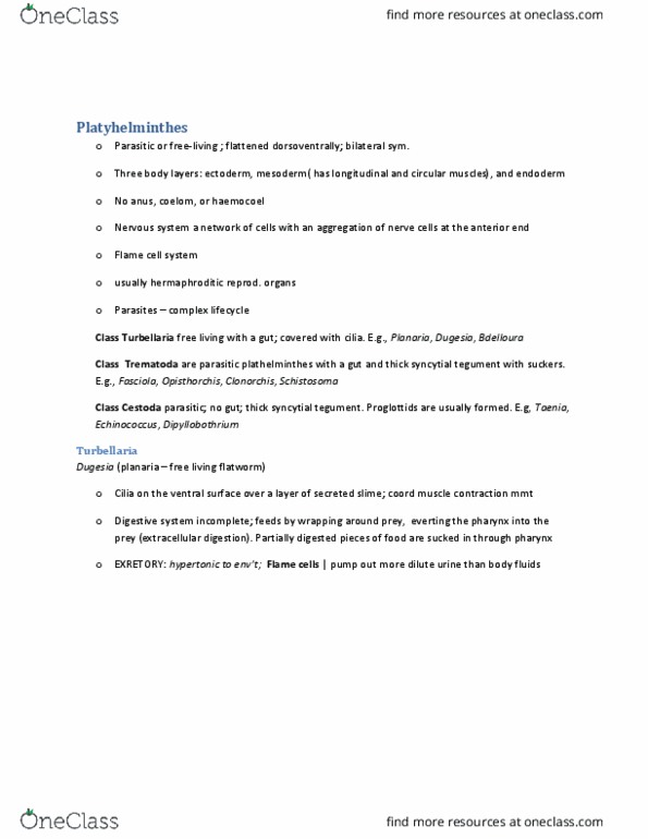 BIOL 2030 Chapter Notes - Chapter 3: Diphyllobothrium, Seminal Vesicle, Vas Deferens thumbnail