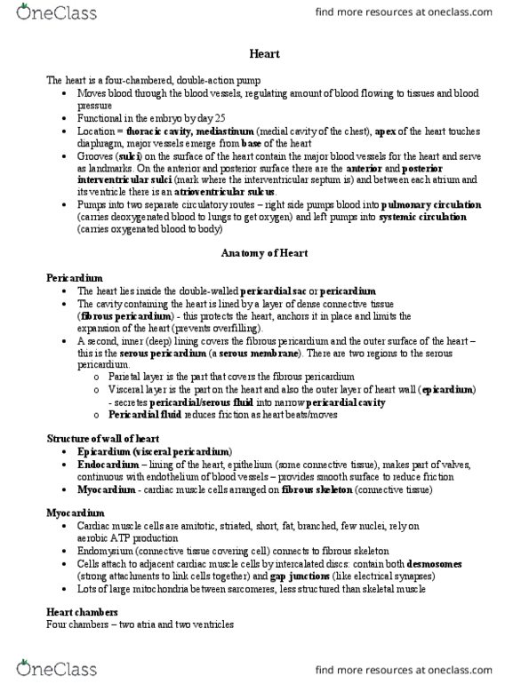 BIOL-N - Biology BIOL-N 214 Lecture Notes - Lecture 1: Heart Valve, Tricuspid Valve, Interventricular Septum thumbnail