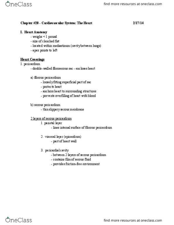 BIOL-N - Biology BIOL-N 214 Lecture Notes - Lecture 3: Great Cardiac Vein, Small Cardiac Vein, Posterior Interventricular Artery thumbnail