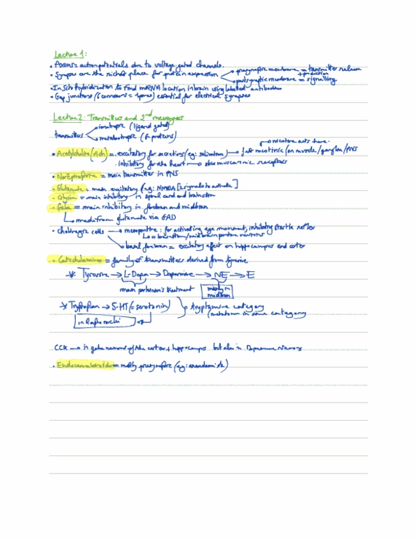 document preview image