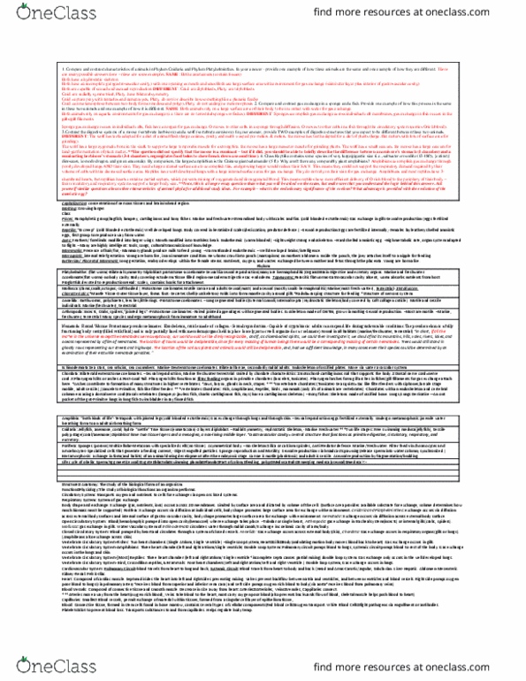 BIOL 112 Lecture Notes - Lecture 1: Gastrovascular Cavity, Flatworm, Symmetry In Biology thumbnail