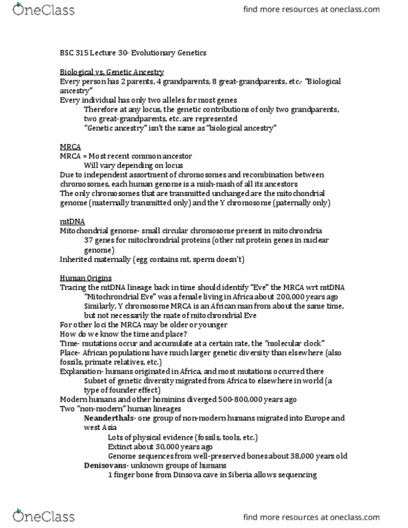 PH 106 Lecture Notes - Lecture 30: Y Chromosome, Mendelian Inheritance, Molecular Clock thumbnail