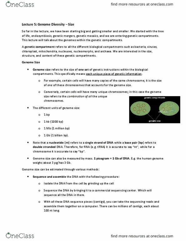 Biology 2581B Lecture Notes - Lecture 5: Genome Size, Schiff Test, Marbled Lungfish thumbnail