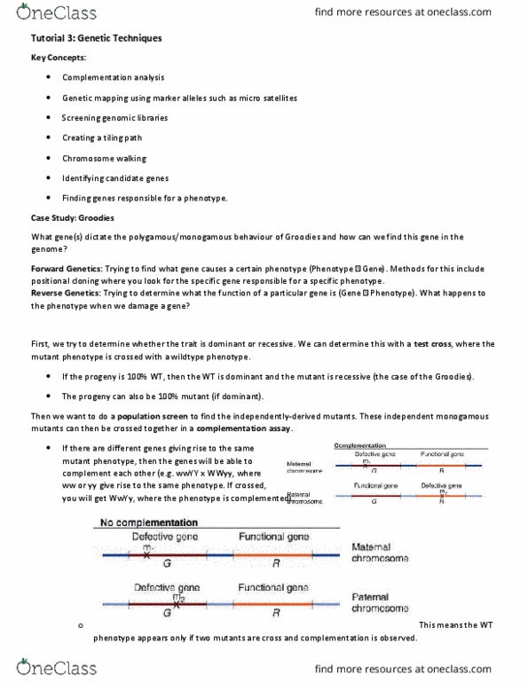 Biology 2581B Lecture Notes - Lecture 3: Genetic Screen, Genetic Linkage, Tandem Repeat thumbnail