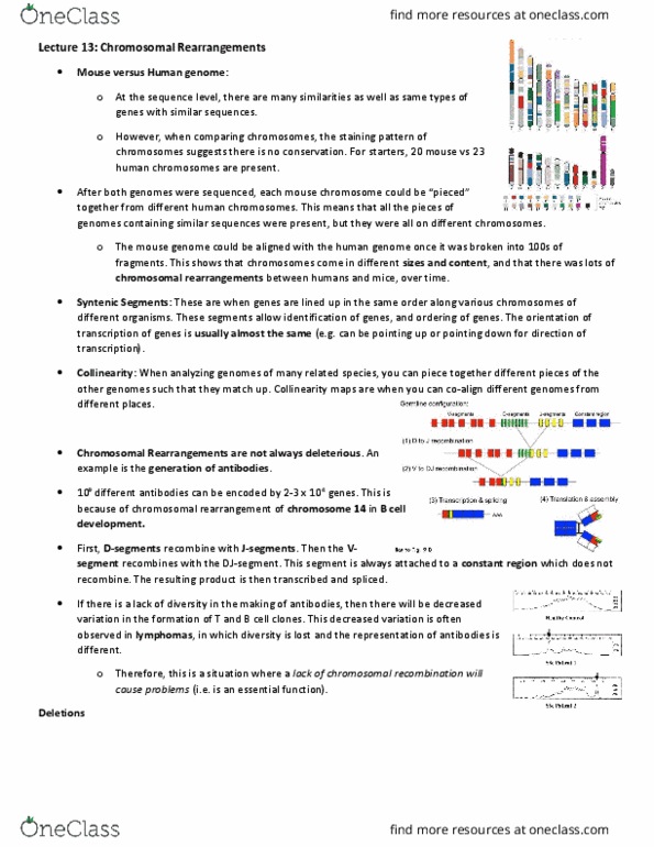 Biology 2581B Lecture Notes - Lecture 13: Polytene Chromosome, Chromosomal Rearrangement, Cri Du Chat thumbnail