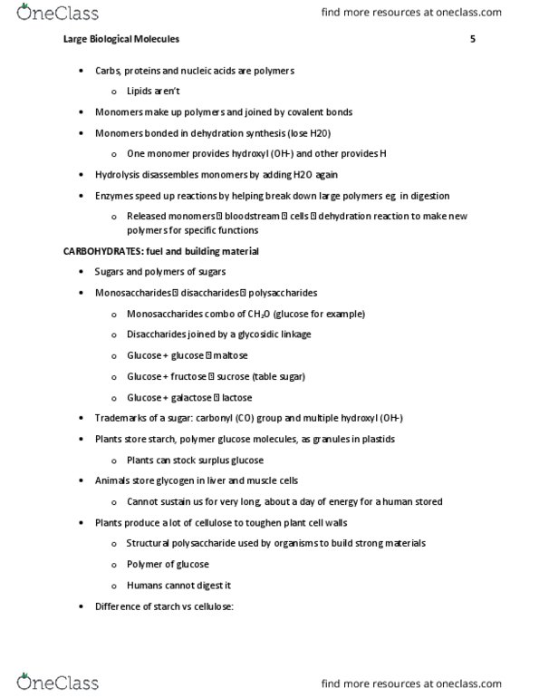 BIL 150 Chapter Notes - Chapter 5: Dehydration Reaction, Olive Oil, Glycerol thumbnail