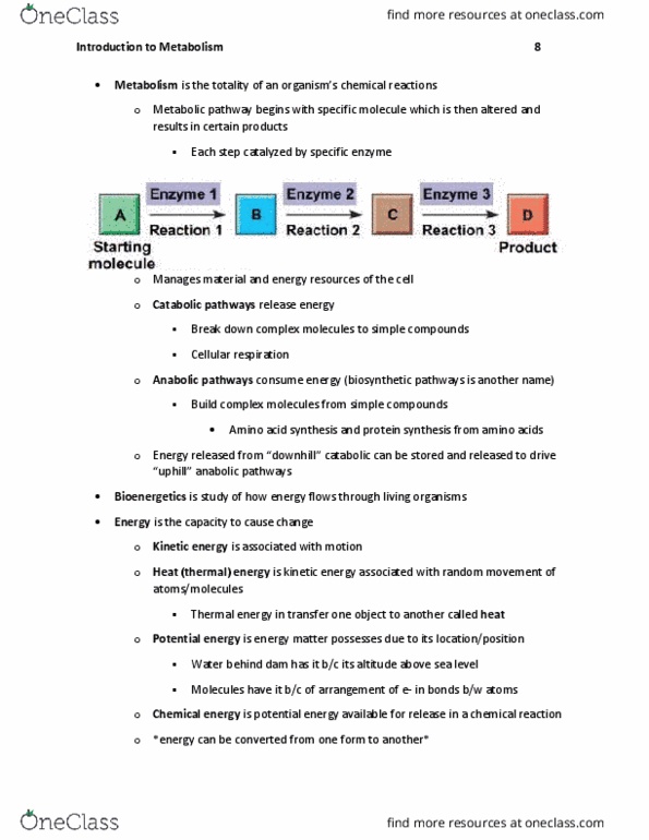 BIL 150 Chapter Notes - Chapter 8: Atp Hydrolysis, Metabolic Pathway, Thermal Energy thumbnail