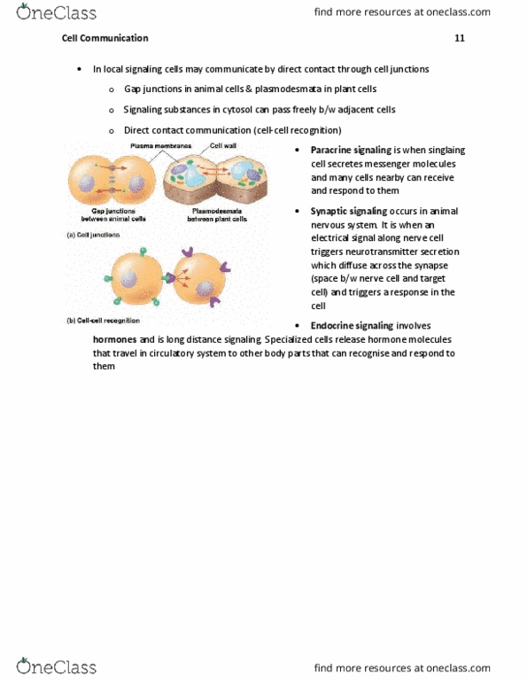 BIL 150 Chapter Notes - Chapter 11: G Protein–Coupled Receptor, Signal Transduction, Protein Kinase A thumbnail