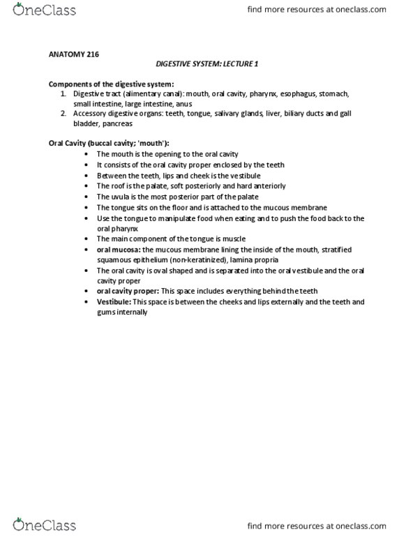 ANAT 216 Lecture Notes - Lecture 9: Stratified Squamous Epithelium, Palatine Tonsil, Lingual Tonsils thumbnail