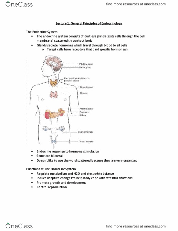 PHGY 214 Lecture Notes - Lecture 1: Thyroid, Anterior Pituitary, Cell Membrane thumbnail