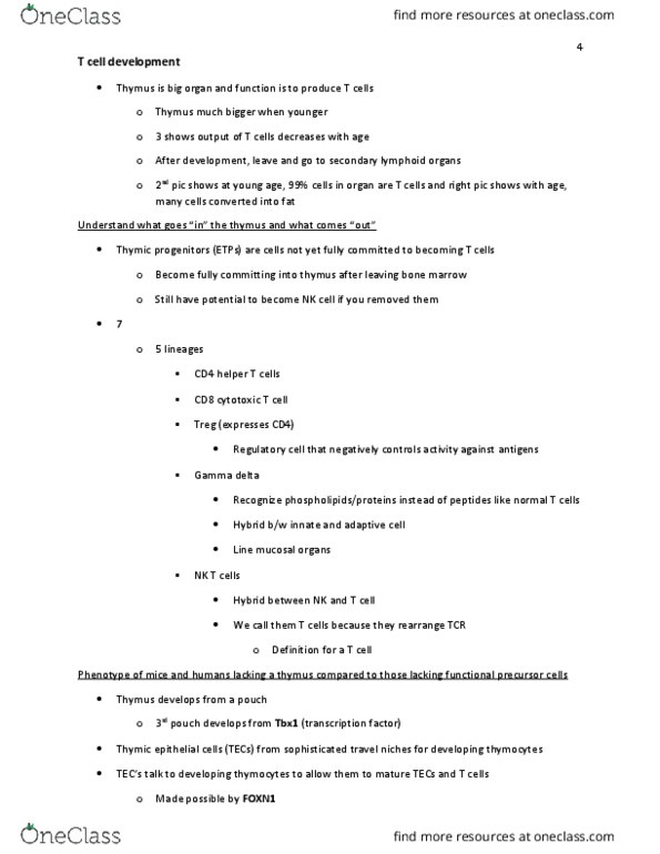 MIC 321 Lecture Notes - Lecture 12: T Helper Cell, Hematopoietic Stem Cell Transplantation, Cytotoxic T Cell thumbnail